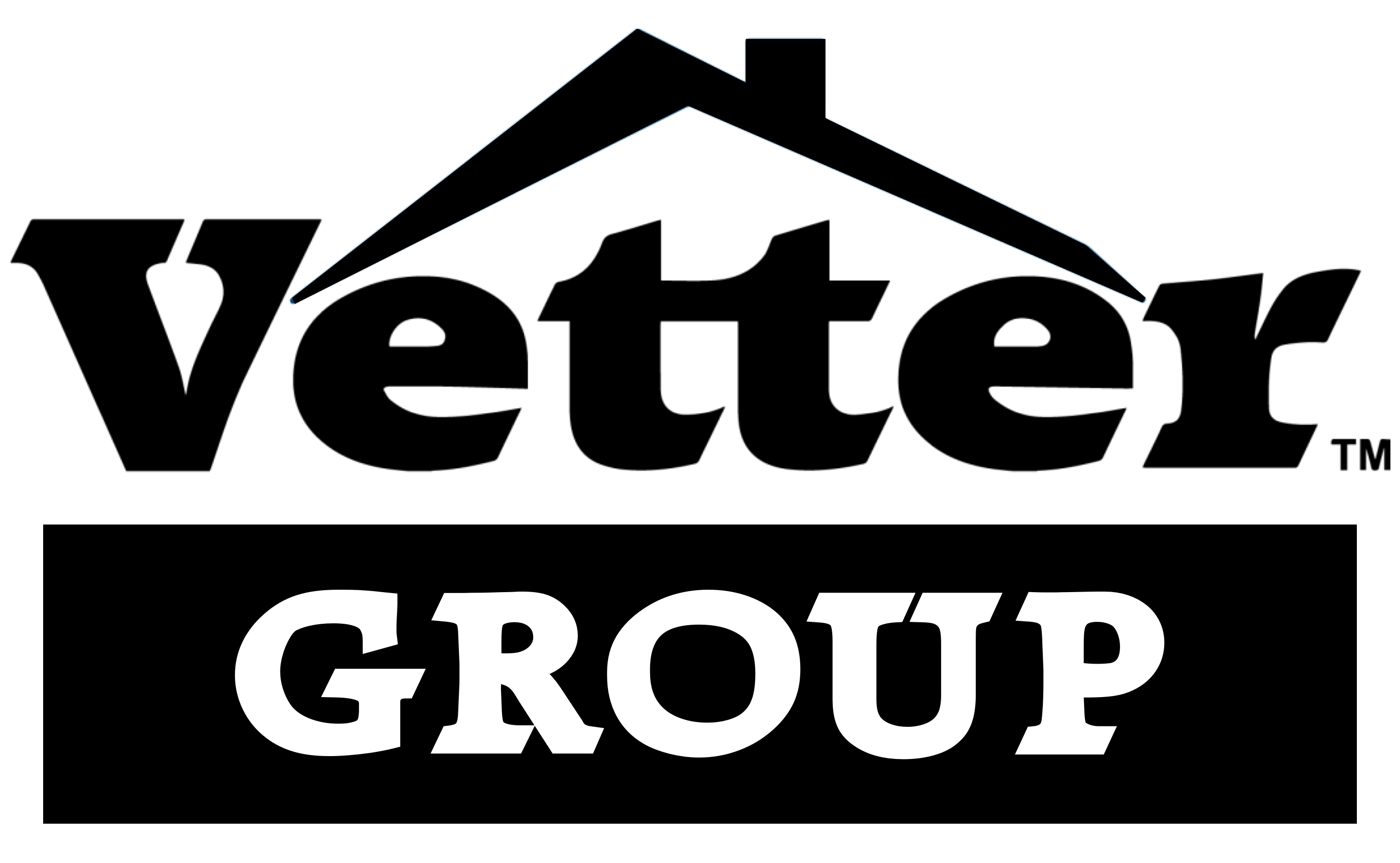 The Vetter Group Logo